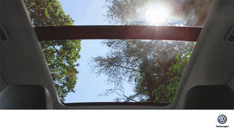 animation vw GIF by Volkswagen USA