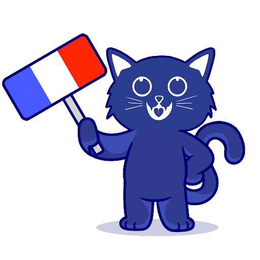 crazycattransfer giphyupload france french crazycattransfer Sticker