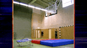 GIF by World’s Funniest
