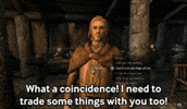 Elder Scrolls Npc GIF by Fire Mountain Productions