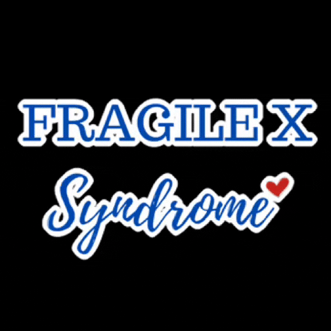 GIF by fragilexindia