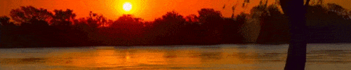 noticiasemprende giphyupload GIF