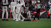 Nfl Football Celebration GIF by New England Patriots