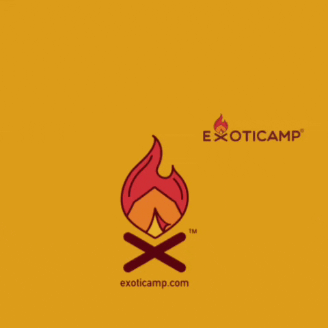 Exoticamp forest camping tent campsite GIF
