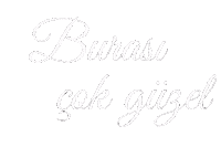 Yaz Keyif Sticker