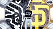 Stream Now San Diego GIF by NBC Sports Chicago