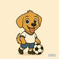 Football Soccer GIF by Feraz NFT