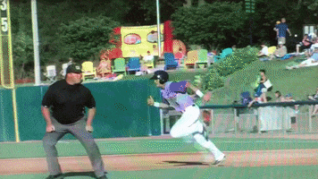 Baseball Slide GIF by Kane County Cougars
