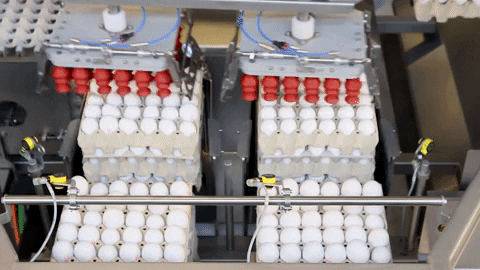 sanovotechnologygroup giphyupload egg eggs loader GIF