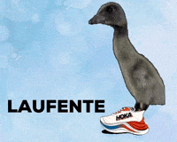 Run Duck GIF