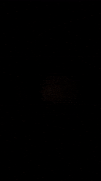 Looperland GIF by LOOPERS EXPERIENCES