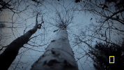 GIF by National Geographic Channel
