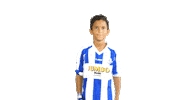 Blauwwit Celebrating Sticker by Voetbalvereniging Scherpenzeel