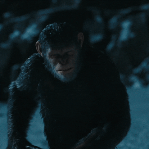 Ceasar GIF by War for the Planet of the Apes