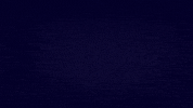 gobravo bravo gobravo GIF