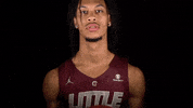 Littlerockmbb2020 GIF by Little Rock Athletics