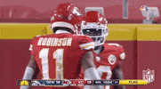 Regular Season Football GIF by NFL
