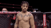 Sport Mma GIF by UFC