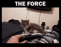 force GIF