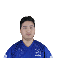 Sunglasses Lunettes Sticker by LDLC OL