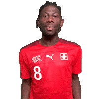 Swipe Switzerland Sticker by Swiss Football Association