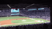 big cat kfc GIF by Barstool Sports