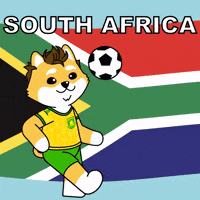 Celebrate World Cup GIF by Dogelon Mars