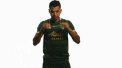 Portland Timbers Sunglasses GIF by Timbers