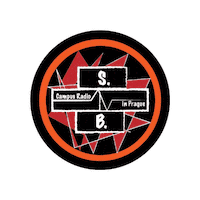 Studentradio Sticker by AAU Student Council