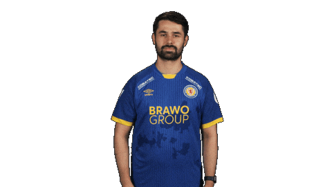 Eintracht Braunschweig Football Sticker by Bundesliga