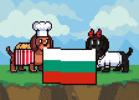 Bulgaria Flag Pixel GIF by Abstract HotDogs