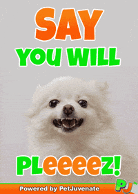 PetJuvenate petjuvenate henlo hooman fren love rescue dogs treatos and woofer for pupper GIF