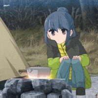Camp Cooking GIF