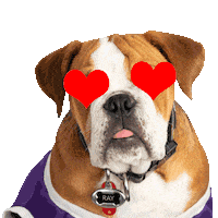 dog love Sticker by Western Illinois University