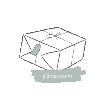 Box Shipping Sticker by plumacreativa