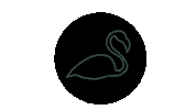 Neon Flamingo Sticker by cadeul