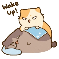Angry Cat Sticker by Bichi Mao