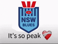 State Of Origin Blues GIF