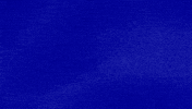 Goldie Good To Go GIF by Jeopardy!