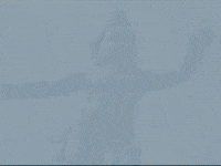 Footage Oaf GIF by jorgemariozuleta