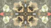 Art Film GIF by jorgemariozuleta
