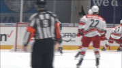 happy hockey GIF by Charlotte Checkers