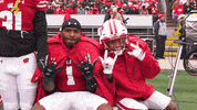 Big Ten Football GIF by Wisconsin Badgers