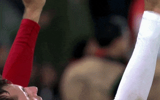 Champions League Football GIF by UEFA