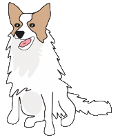 dog love Sticker by ELISABETTA FRANCHI