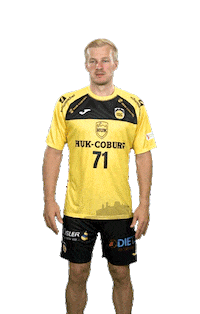 Handball Sticker by HSC 2000 Coburg