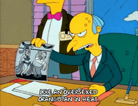 Season 1 Episode 10 GIF by The Simpsons
