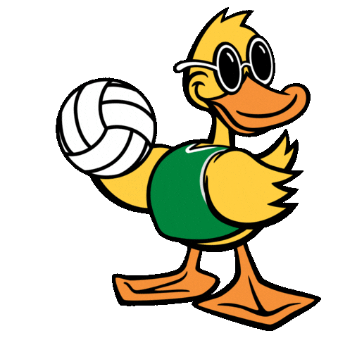 Car Wash Volleyball Sticker by Quick Quack