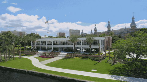 Tampa Bay College GIF by The University of Tampa