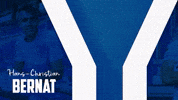 Soccer Bundesliga GIF by Karlsruher SC